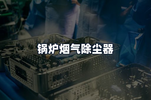 锅炉烟气除尘器