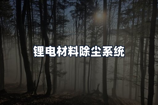 锂电材料除尘系统